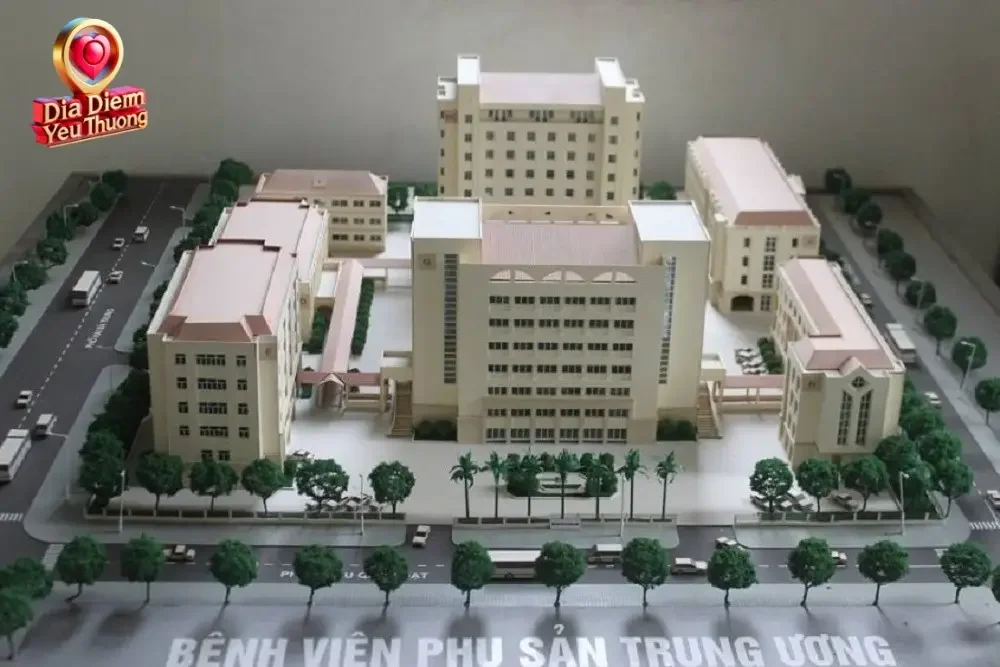 Các dịch vụ chuyên khoa mũi nhọn