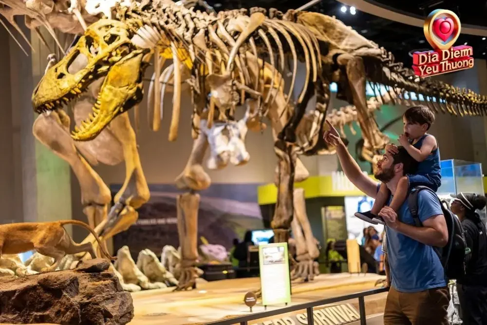 Giá Vé Ưu Đãi và Khuyến Khích