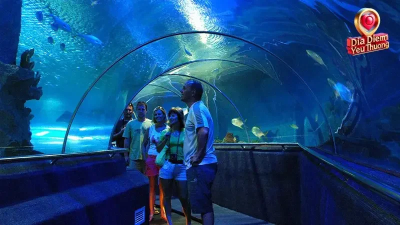 Giá Vé Tham Khảo và Các Yếu Tố Ảnh Hưởng