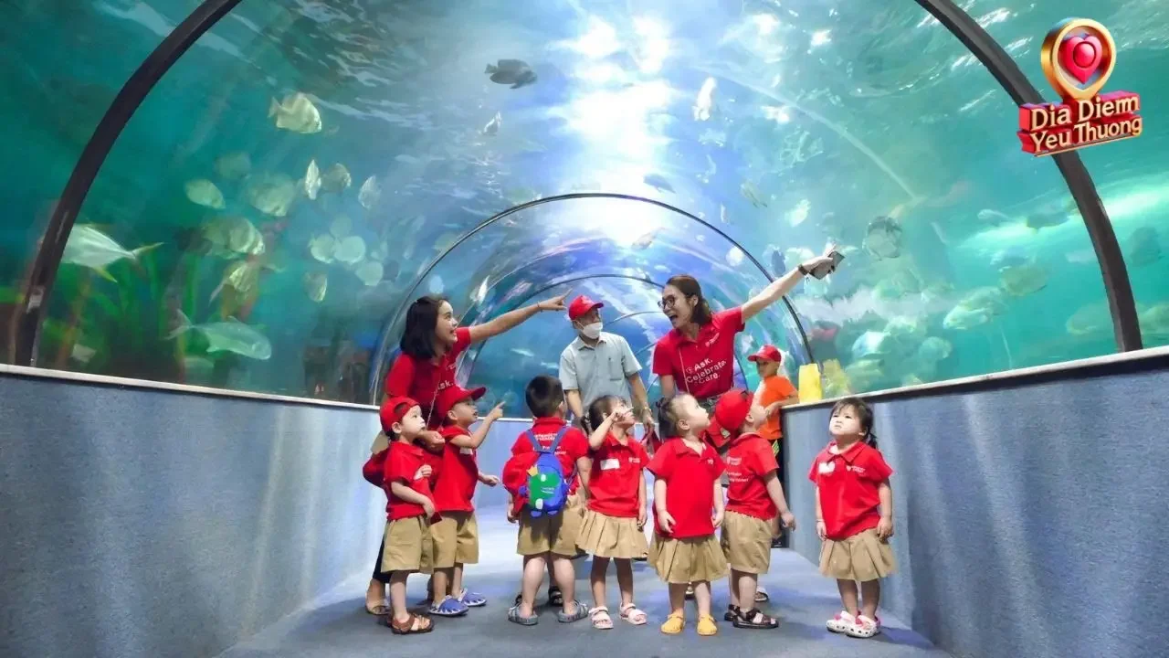Trải Nghiệm Tuyệt Vời Tại Thủy Cung Vinpearl Aquarium Times City