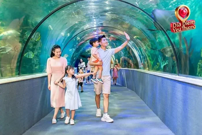 Tìm hiểu Về VinKE Vinpearl Aquarium Times City