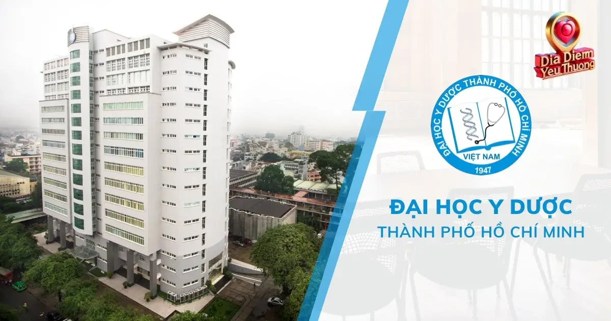 Đội Ngũ Y Bác Sĩ Đầu Ngành