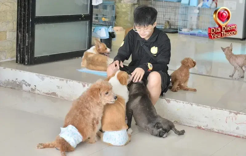 Lịch Sử Hình Thành và Phát Triển của CPAPS