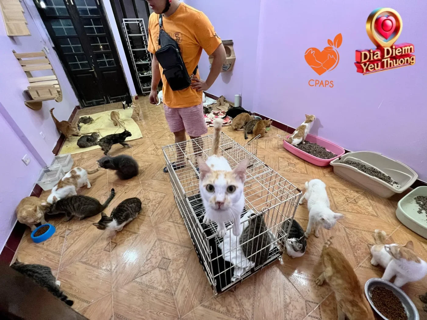 Chăm Sóc và Nuôi Dưỡng