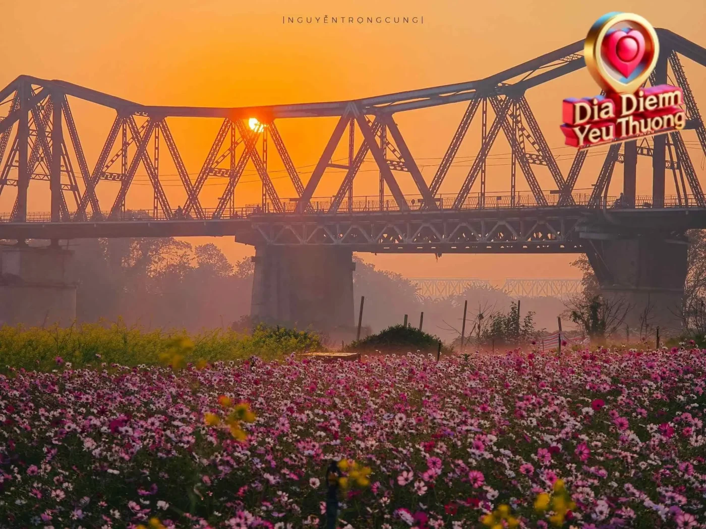 Tác Động Kinh Tế và Xã Hội