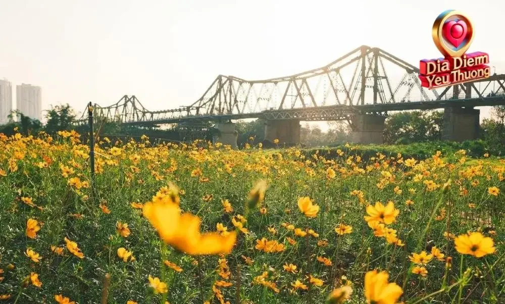 Vẻ Đẹp và Sức Hút Của Bến Hoa Phúc Xá Ngày Nay