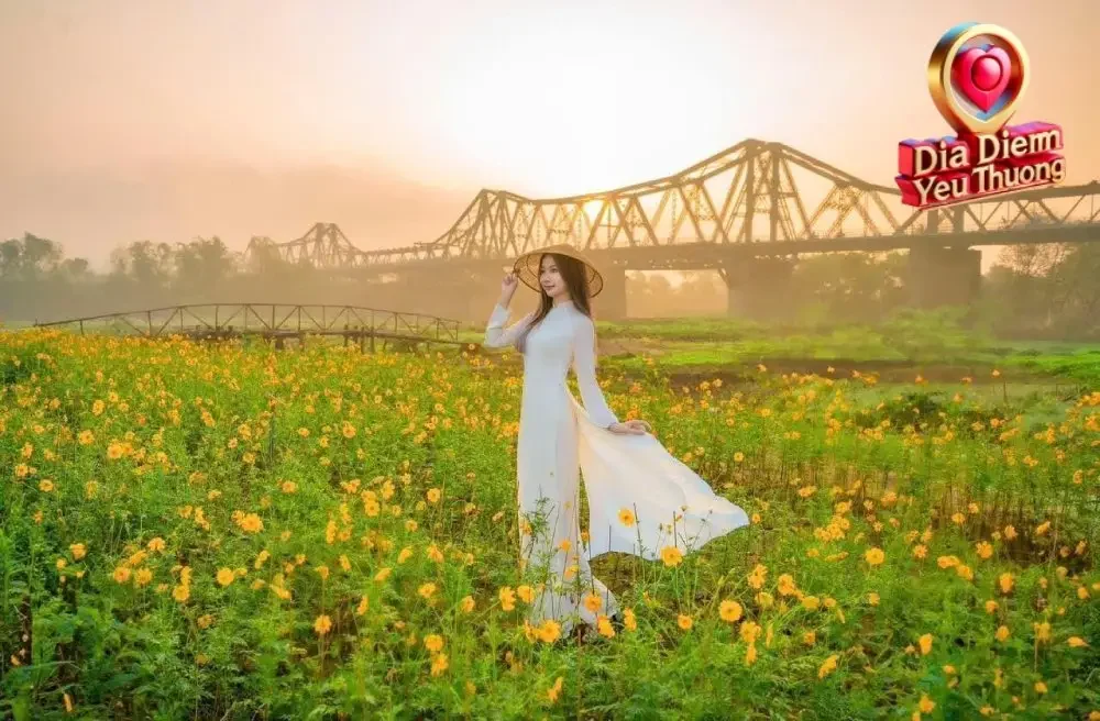 Lịch Sử và Quá Trình Hình Thành