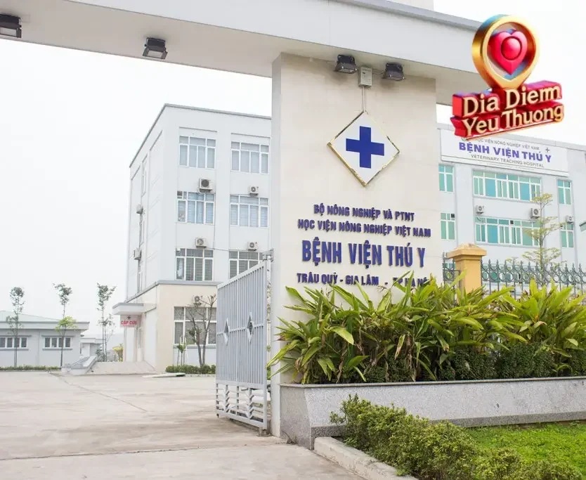 Chức năng và nhiệm vụ