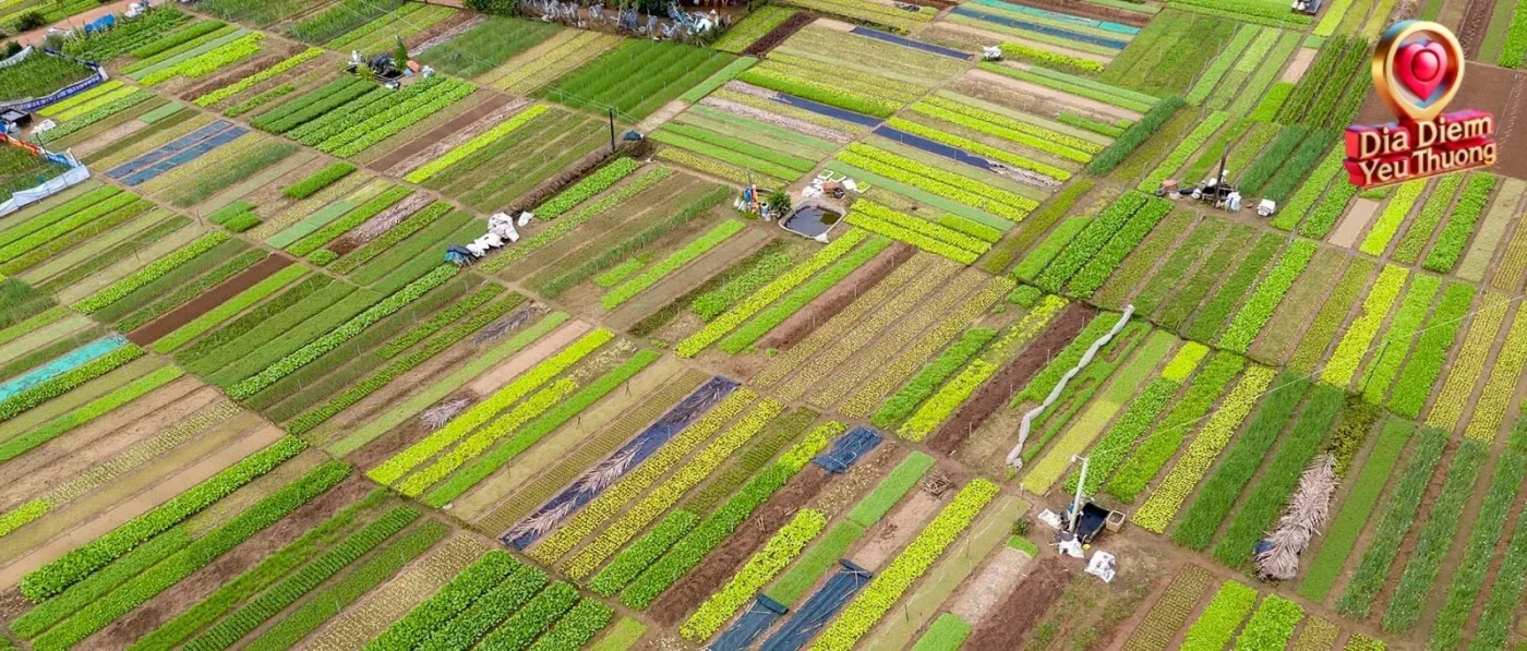 Trải nghiệm làm nông dân tại Làng thảo mộc Trà Quế