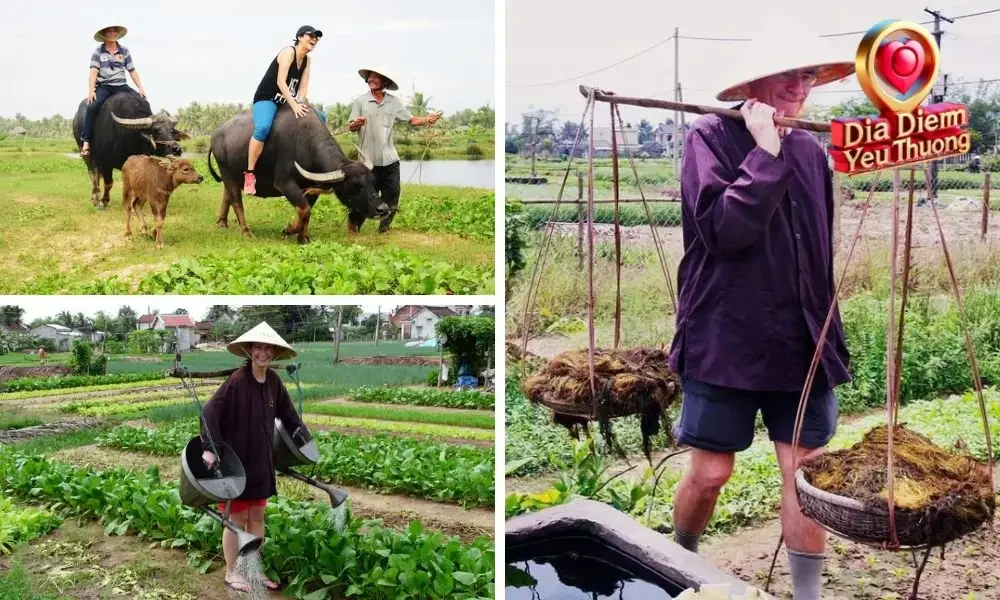 Học nấu ăn và thưởng thức ẩm thực địa phương