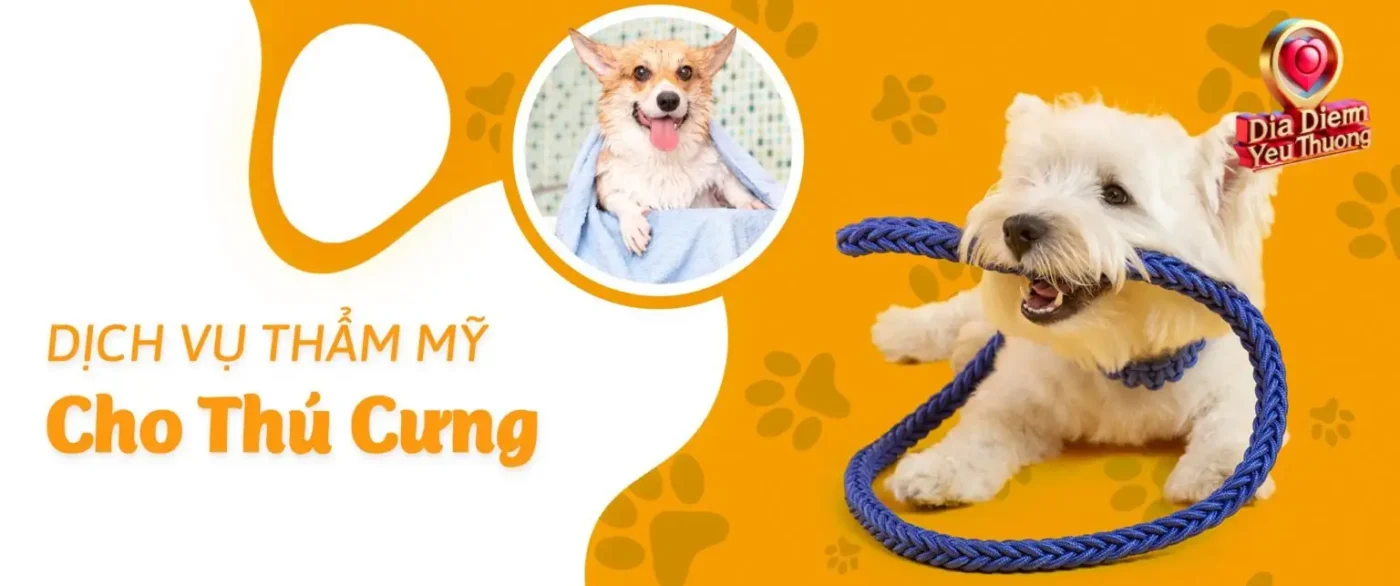 Phạm Vi Dịch Vụ Cung Cấp