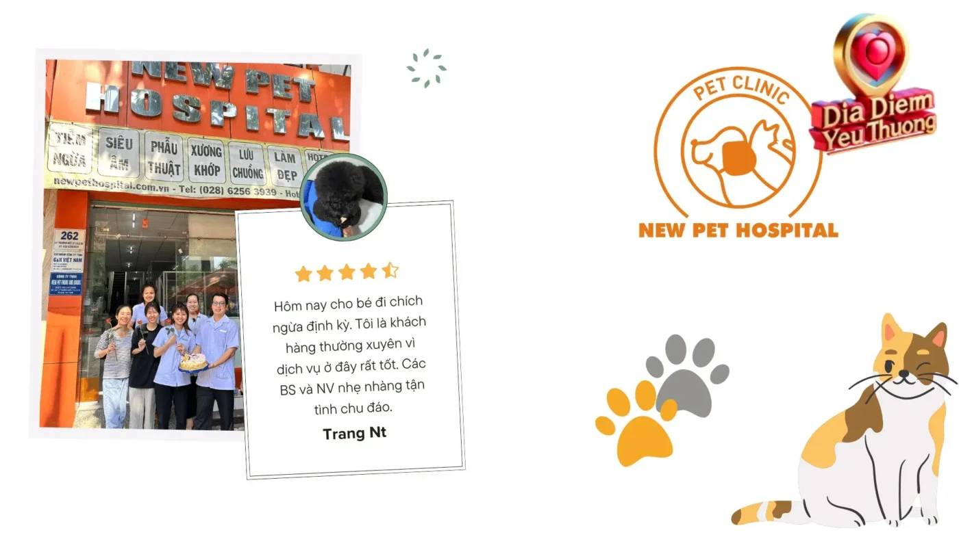 Đánh Giá Chi Tiết về Chất Lượng Dịch Vụ tại New Pet Hospital
