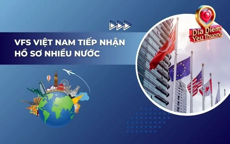 Vai Trò và Chức Năng của VFS Global